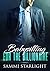 Babysitting for the Billionaire by Sammi Starlight