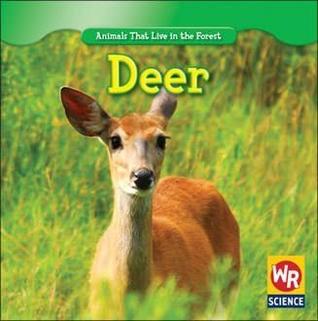 Deer (Animals That Live in the Forest)