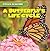 A Butterfly's Life Cycle