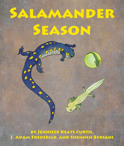 Salamander season (Hardcover)