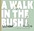 A Walk in the Bush by Gwyn Perkins