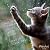 And God Created Cats