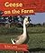 Geese on the Farm