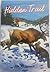 Hidden Trail