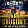 Divided We Fall by Mark Goodwin