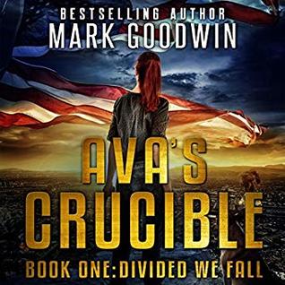 Divided We Fall: A Novel of the Coming Civil War in America (Ava's Crucible #1)