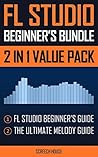 FL STUDIO BEGINNE...
