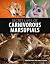 Secret Lives of Carnivorous Marsupials by Andrew Baker