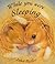 While You Were Sleeping (Picture Books)