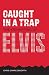 Caught in a Trap by Chris Charlesworth