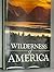 Wilderness America