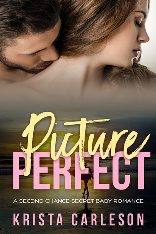 Picture Perfect (Kindle Edition)