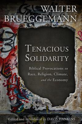 Tenacious Solidarity: Biblical Provocations on Race, Religion, Climate, and the Economy (Paperback)