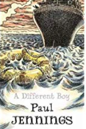 A Different Boy (Paperback)