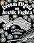 Dream Flights on Arctic Nights