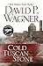 Cold Tuscan Stone (Rick Montoya Italian Mysteries, 1)