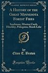 A History of the Great Minnesota Forest Fires: Sandstone, Mission Creek, Hinckley, Pokegama, Skunk Lake (Classic Reprint)