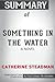 Summary of Something In The Water: A Novel by Catherine Steadman: Conversation Starters