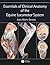 Essentials of Clinical Anatomy of the Equine Locomotor System by Jean-Marie Denoix