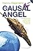 The Causal Angel (Jean le Flambeur, #3)