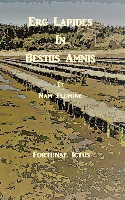 Erg Lapides in Bestiis Amnis: Et Nam Flumine