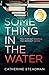 Something in the Water by Catherine Steadman