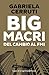 Big Macri. Del cambio al FMI