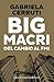 Big Macri. Del cambio al FMI by Gabriela Cerruti