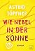 Wie Nebel in der Sonne