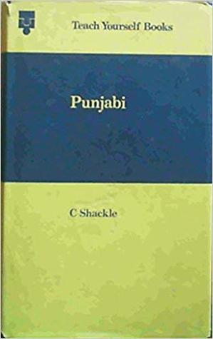 Punjabi (Teach yourself books)