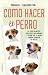 Cómo hacer el perro