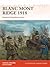 Blanc Mont Ridge 1918: Amer...