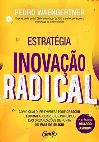 A estratégia da inovação radical: Como qualquer empresa pode crescer e lucrar aplicando os princípios das organizações de ponta do Vale do Silício (Portuguese Edition)