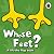 Whose Feet