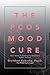The PCOS Mood Cure by Gretchen Kubacky