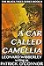 A Car Called Camellia (Black Tiger #6)