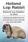 Holland Lop Rabbi...