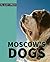 MOSCOW'S DOGS by Justin Affleck