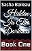 Hidden In The Darkness by Sasha Boileau