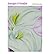 Georgia O'Keeffe 2019 Wall Calendar by POMEGRANATE