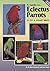 A Guide to Eclectus Parrots as Pet and Aviary Birds
