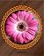 Gerbera 2018 The Magic of N...