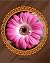 Gerbera 2018 The Magic of Nature by Maya Baron