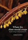 Where the Slime Mould Creeps