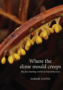 Where the Slime Mould Creeps (Unknown Binding)