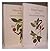 The William Farquhar Collection of natural history drawings