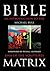 Bible Matrix: An Introduction to the Dna of the Scriptures
