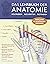 Das Lehrbuch der Anatomie: ...