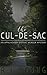 The Cul-de-Sac by R.L. Young