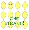 Che strano!: Siamo tutti diversi... Possiamo essere amici? (Storie per crescere.) (Italian Edition)